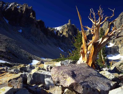 13 Great Basin National Park, NV