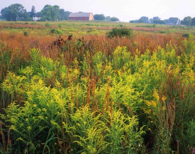 22 Wheeler Fen, McHenry, IL