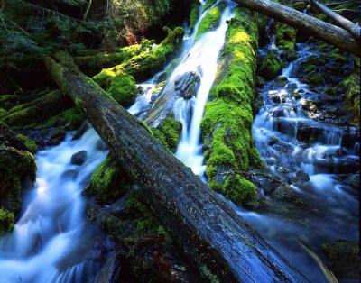16 Proxy Falls, Oregon