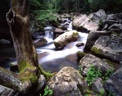 23 Great Smoky Mountains National Park, TN