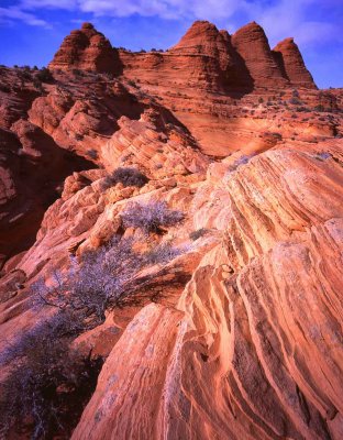 40 Paw Hole, South Coyote Buttes