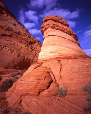 28 Paw Hole, South Coyote Buttes