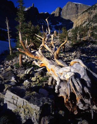 20 Great Basin National Park, NV