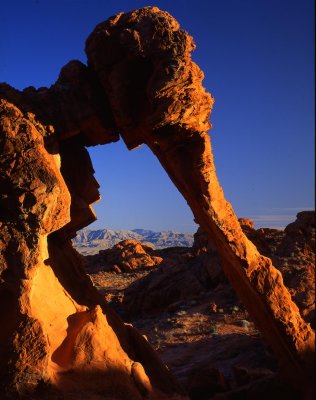 26 Elephant Rock, Valley of Fire State Park, NV