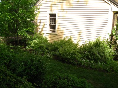 IMG_1401.JPG