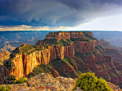 After the storm, Grand canyon ,North rim.jpg
