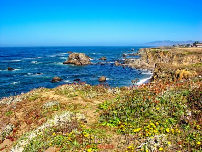 California coast.jpg