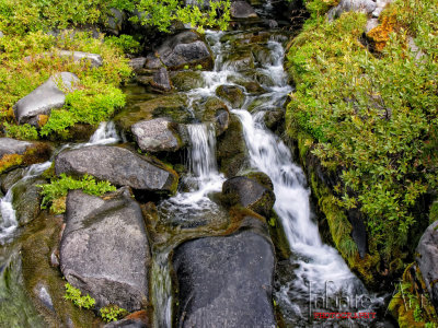 Creek, Glacier NP.jpg