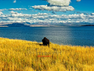 Yellowstone lake 2.jpg