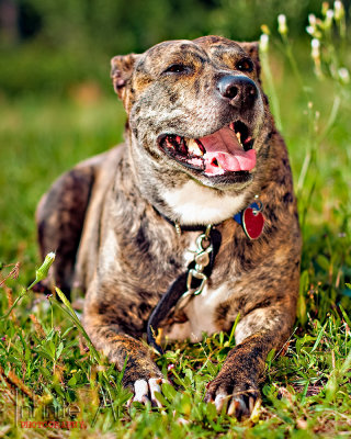 DSC_9005-Edit 3 -small.jpg