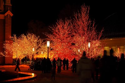Christmas Lights