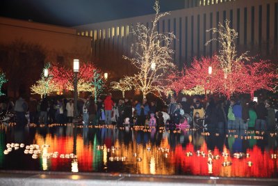 Christmas Lights