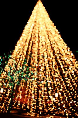 Christmas Lights