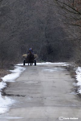 Bulgaria