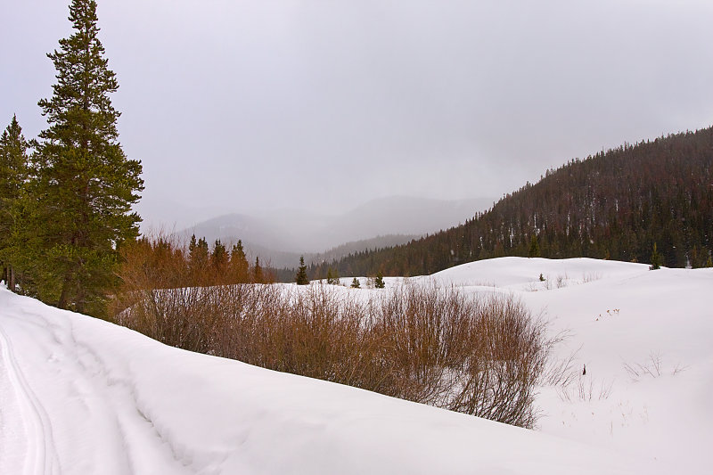 Breckenrige Landscape