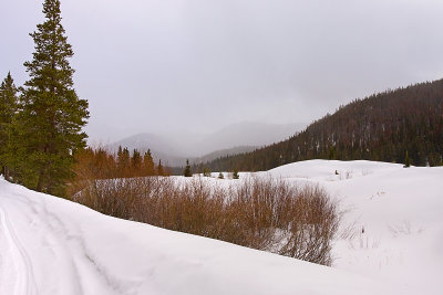Breckenrige Landscape