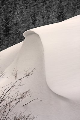 Snow Drift