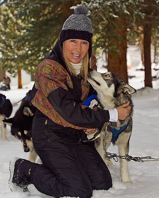 Dog Sledding