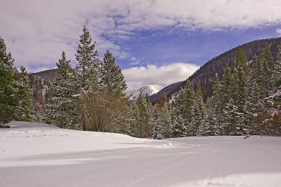 Breckenridge Landscape