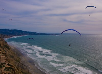 Paragliding Torrey Pines