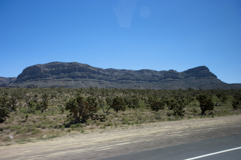 img_2010_06_06_0026.jpg