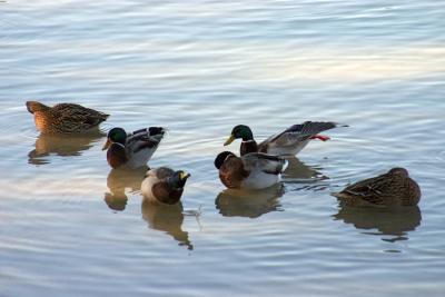 img_20051120_030.jpg