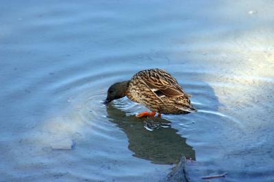 img_20051120_031.jpg