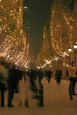 img_20051123_005.jpg