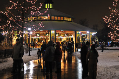 Carousel at the Brookfield Zoo