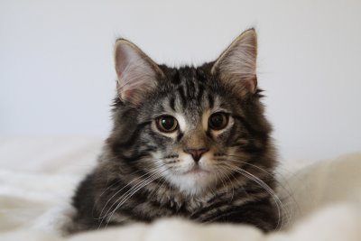 _just a few months old