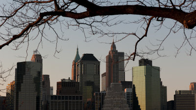 Landscapes in New York City (2009)