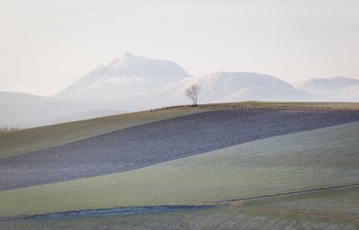 W - 2009-12-29-0660- Auvergne -Alain Trinckvel.jpg