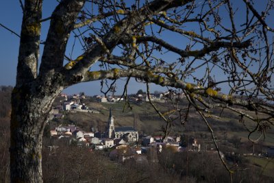 W - 2009-12-29-0713- Auvergne -Alain Trinckvel.jpg