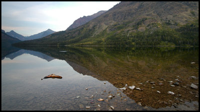 WM-2006-08-28-0433- Glacier NP - Alain Trinckvel-02 copie.jpg