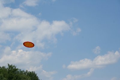 IMG_8504 800x600.JPG