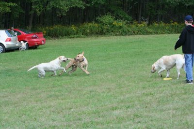 church picnic 2006 024 [800x600].jpg