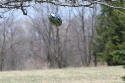 IMG_1558 - Copy 800x600.JPG