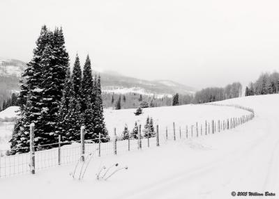 High Country Snow 12_20_05.jpg