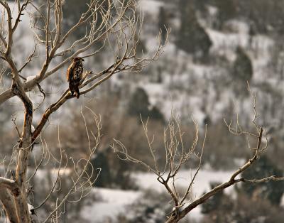 Seven Below At Dawn 01_23_06.jpg
