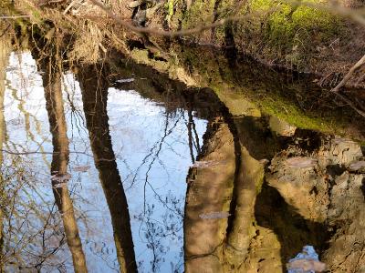 Reflection