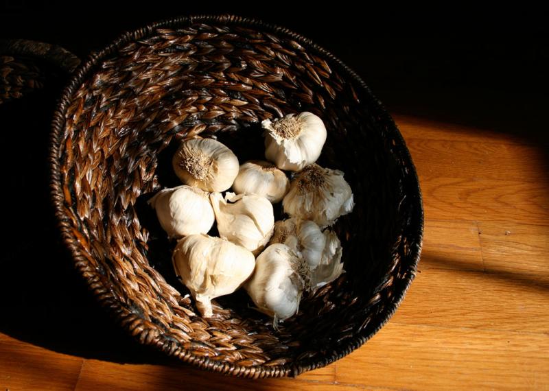 For the garlic is the life