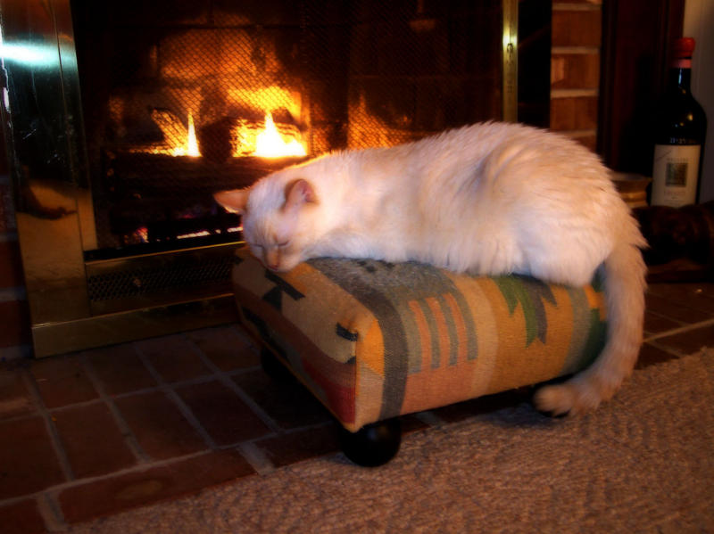 shishi sleeps