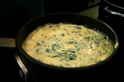 hot spinach cheese dip