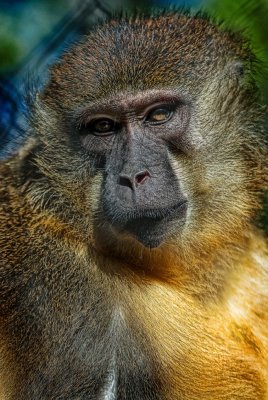 san_diego_zoo_feb_2008
