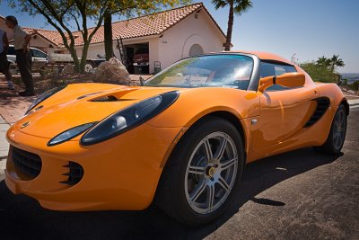 lotus left side.jpg