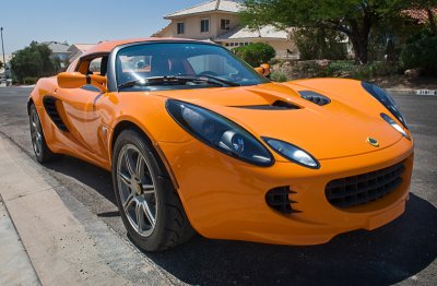 lotus right side.jpg