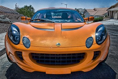 lotus
