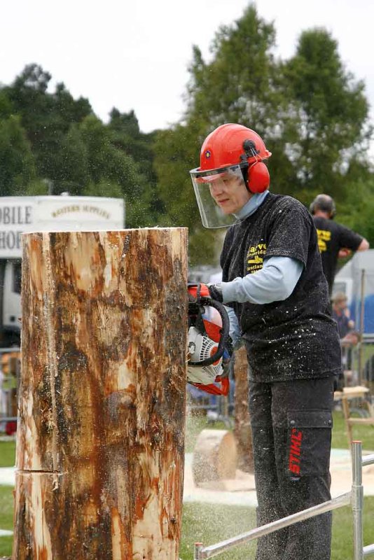 Carve Carrbridge 2008