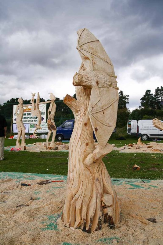 Carve Carrbridge 2008