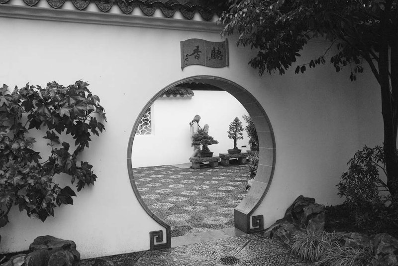 Chinese Garden 6